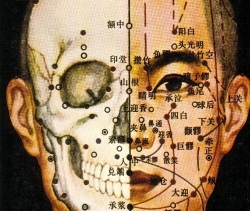 GIOR KONDUCTA - angularcircles: (via gristlebrains) (via... #japan #anatomy #vintage