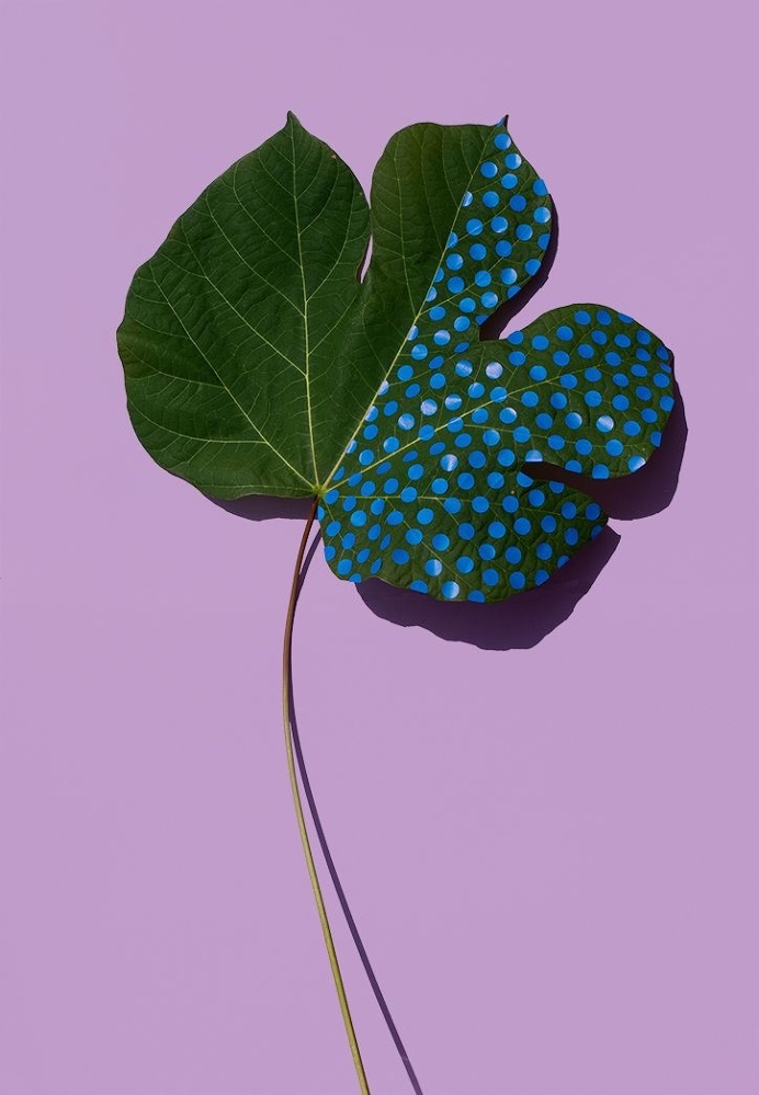 leaves, paint