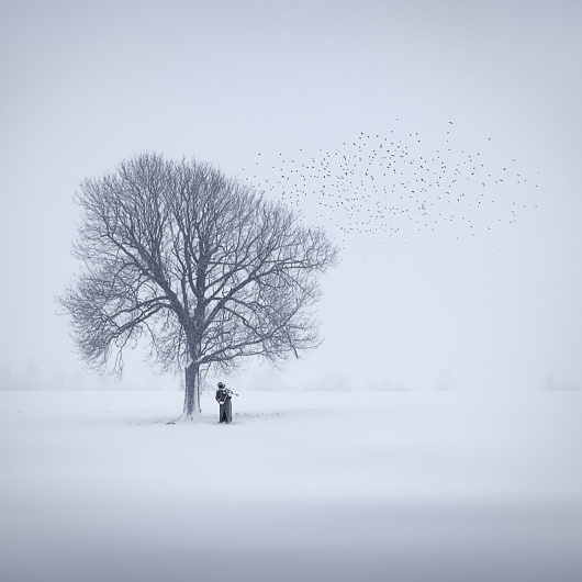 halluzination, Artwork by Ellger Christine #foog #tree