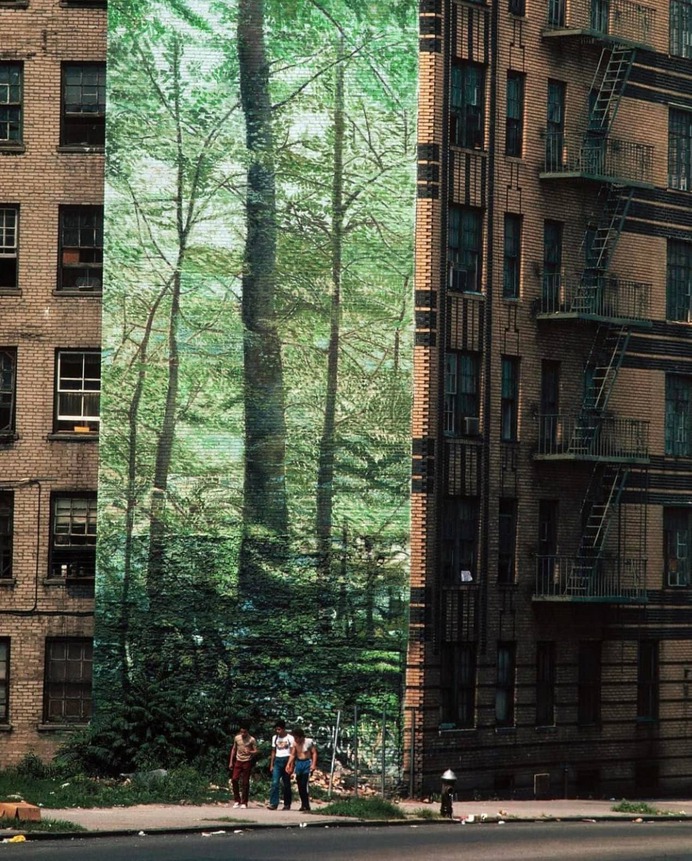 A mural of a forest in Highbridge, Bronx. -  Thomas Hoepker, 1983

