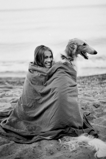 Scissors #photography #dog