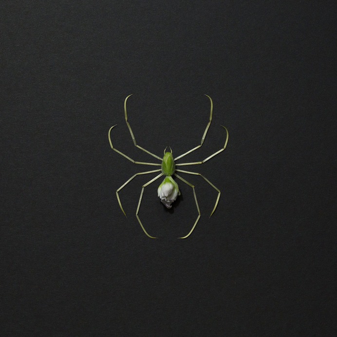 Natura Insects Spring Microcosm - "Micro-Spider."