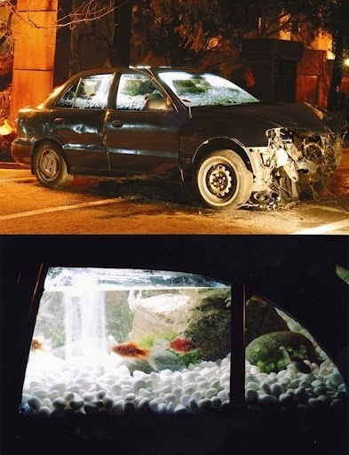 I need a guide: myeongbeom kim #myeongbeom #car #kim #fishtank