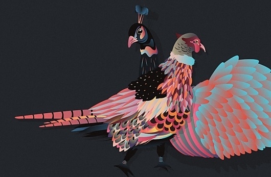 Faisan, POGO | art & design boutique #illustration