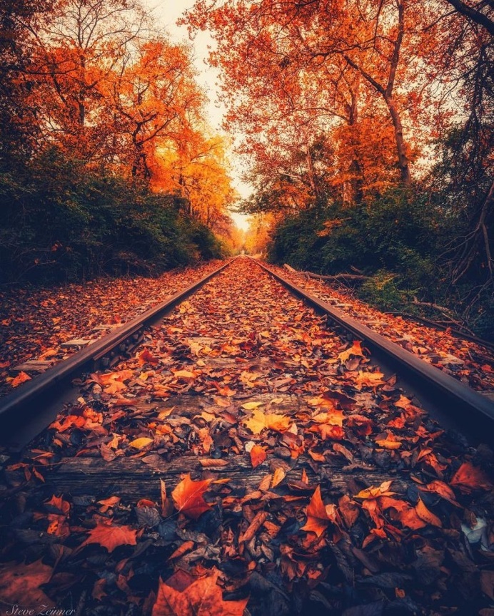 Beautiful and Colorful Instagrams by Steve Zeinner