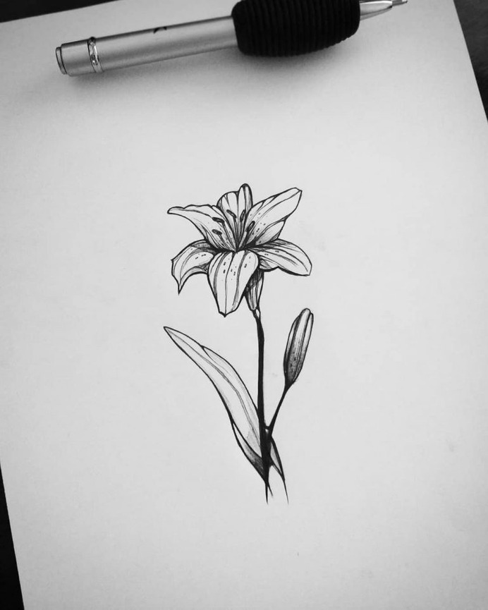 Lírio | Lilium