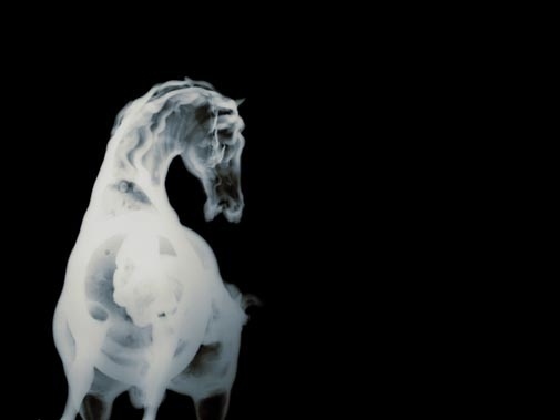 his_gr1_m_02.jpg 505×379 pixels #ray #bones #horse