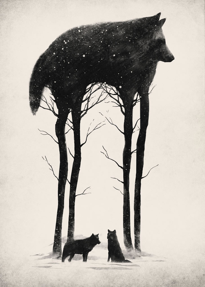 negative space, wolf, winter, snow, ice