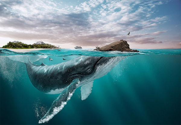 Stunning Photo Manipulations by Leo Rocha