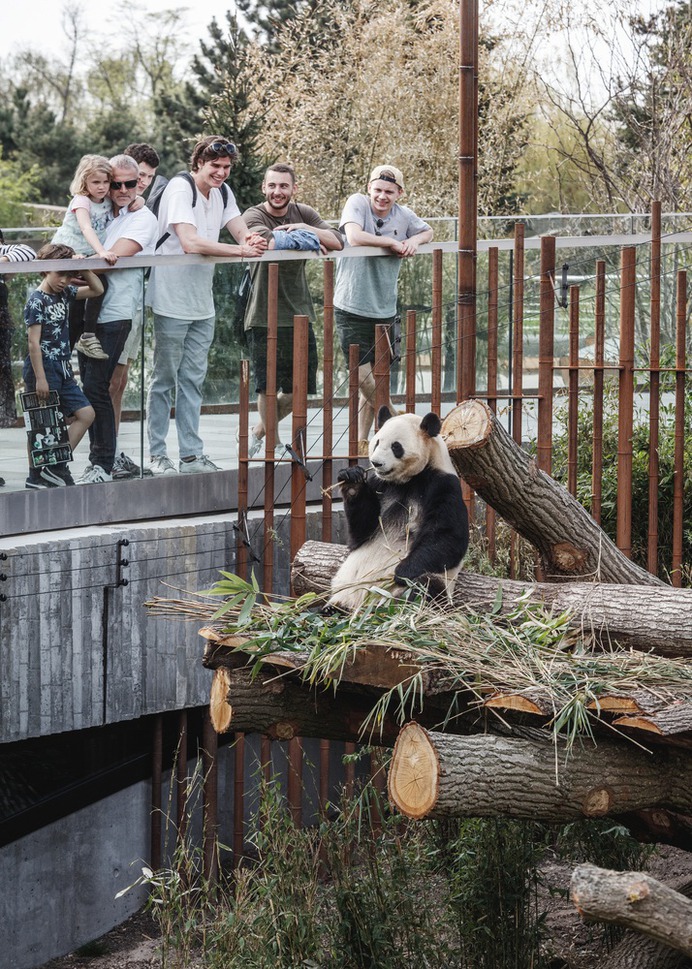 Panda House Observation Center / BIG