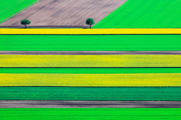Klaus Leidorf | PICDIT