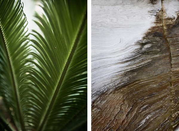 Naughtyfish design, Sydney (+612 9357 5911) #photography