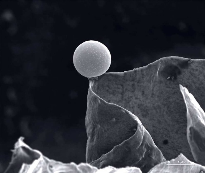 Finalists of The Royal Society Publishing Photography Competition 2016