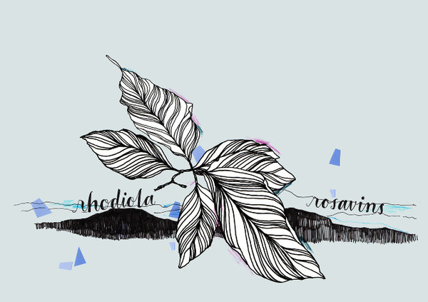 ❦ True Nature identity www.pepijnrooijens.com #illustration #identity