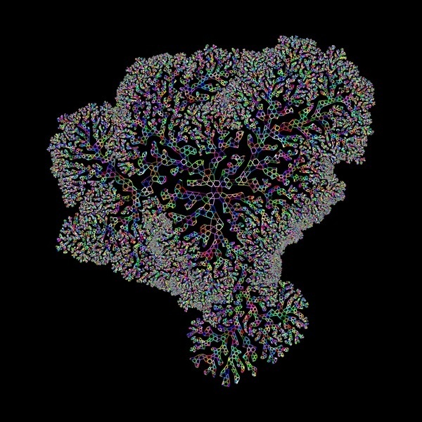 9591626974_2c89a03ee7_o.png (2000×2000) #lace #generative #pattern #algae
