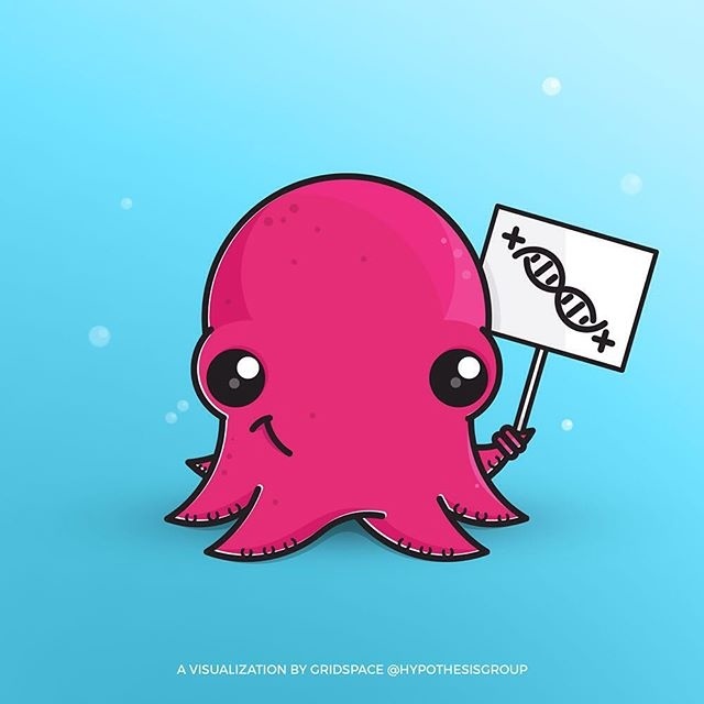 #cuteoctopus, #dnamapping