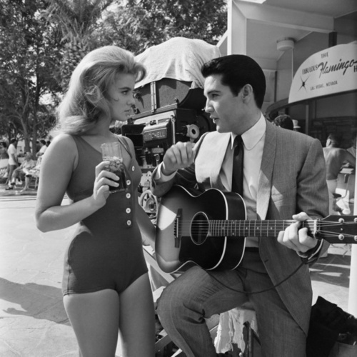 AHONETWO #photography #ahonetwo #elvis