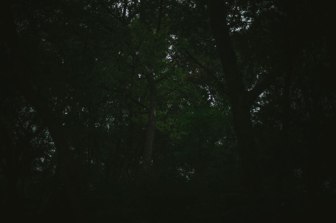 Brady Williams: Chef | Dallas, TX #photography #dark