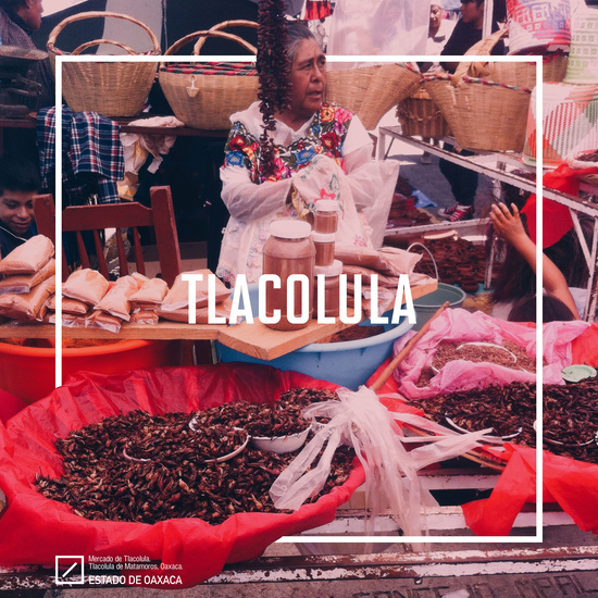 Andrea Roman //// Industrial Designer - Tlacolula Market #market #mexico #bananas #mexican #poster