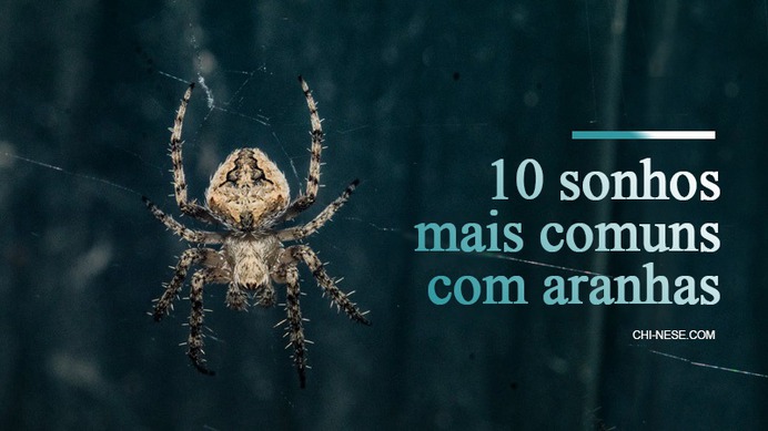 sonhos com aranhas