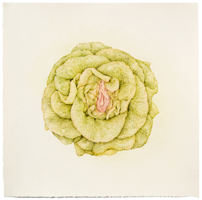 "Untitled (Lettuce Vag) colored pencil on paper, 17" x 17", 2013