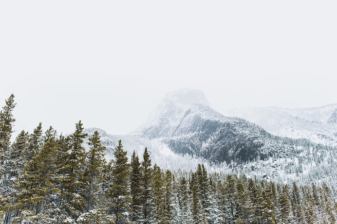 I live in a paradise by Nathaniel Atakora Martin #tree #woods #atakora #paradise #martin #nathaniel #forest #mountains