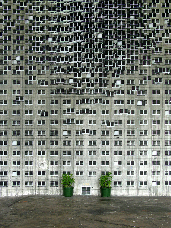 EVOL | PICDIT