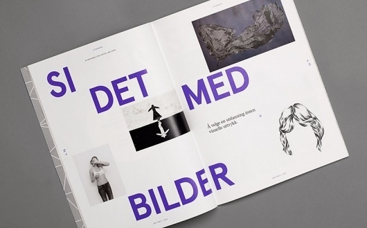 Heydays — Snitt #publication