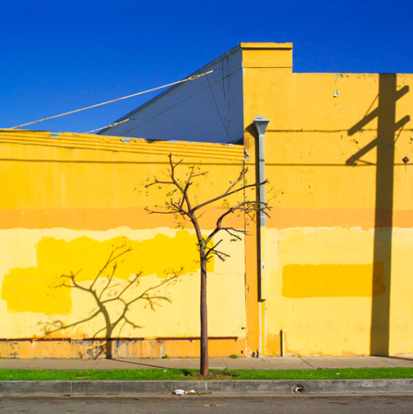 Sinziana Velicescu | PICDIT