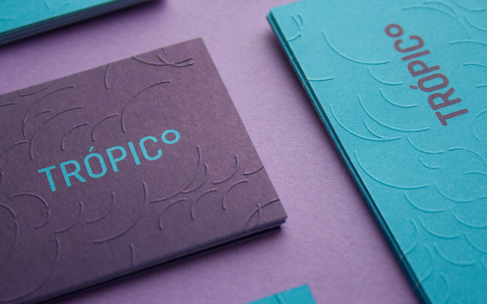 Carlos Bauer and Nicholas Pierre tropico branding blue logotype business card modern simple mindsparkle mag purple stationery minimal