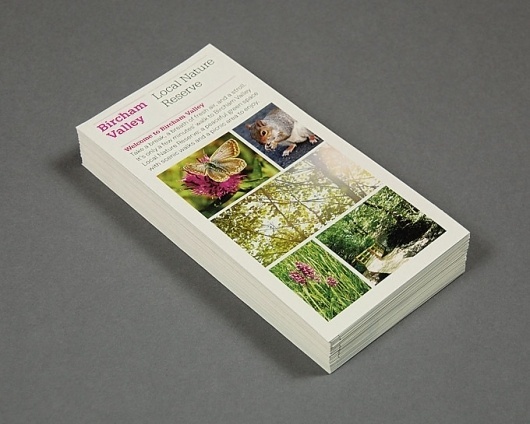Guild of Sage & Smith #falmouth #print #design #graphic #grid