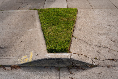 microlawn #microlawn #photography #sidewalk