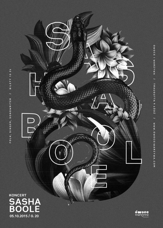 Sasha Bole poster