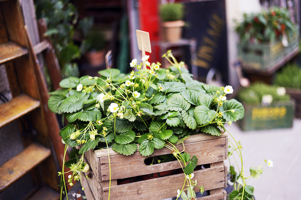 bröllopsdagen, del 2. #interior #design #decor #deco #decoration