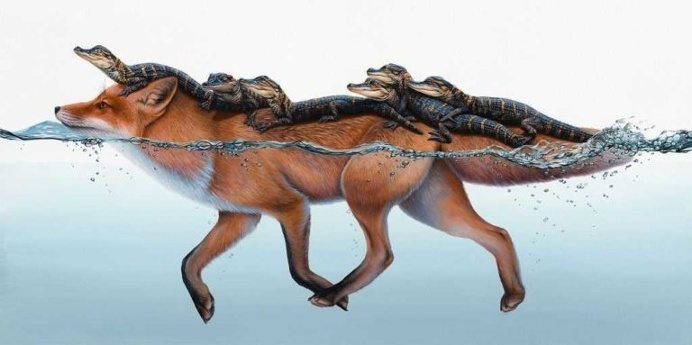 Meticulous Paintings of Animals and Objects by Jacub Gagnon
