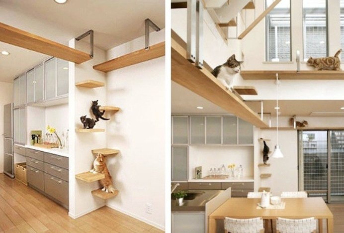Asahi Kasei's Plus-Nyan House features furniture for cats so the living environment can equally meet the separate needs of people and their #modern #lifestyle #design #home #product #furniture #industrial #style