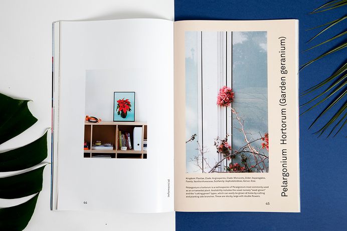 Botanic on Behance