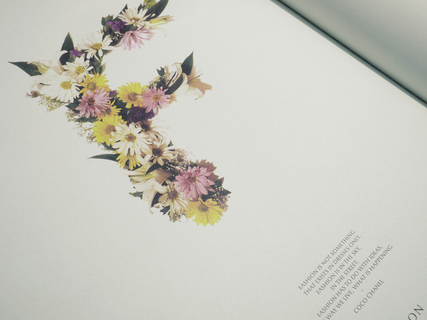 FAT MAGAZINE on the Behance Network #flowers #typography