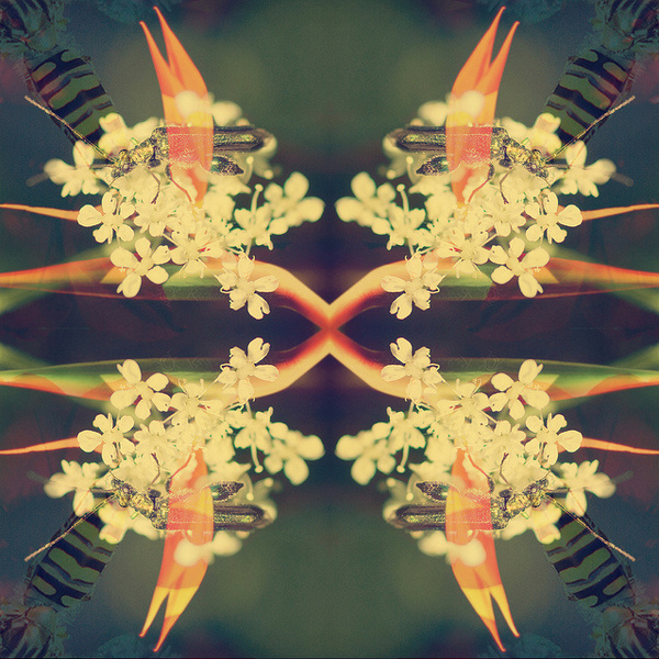 Givenchy Type Effect #bee #effect #floral #lovely #love #life #green