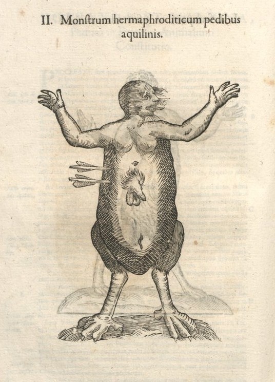 000582 #naturalism #aldrovandi #illustration #latin #ulisse #monster #drawing
