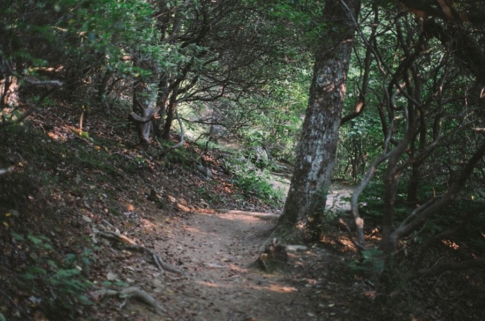 http://www.polerstuff.com/collections/adventures/products/adventure-105