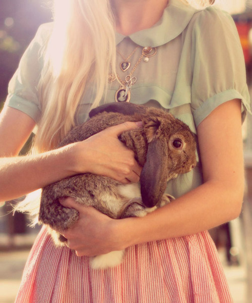 girl with rabbit #fashion #rabbit
