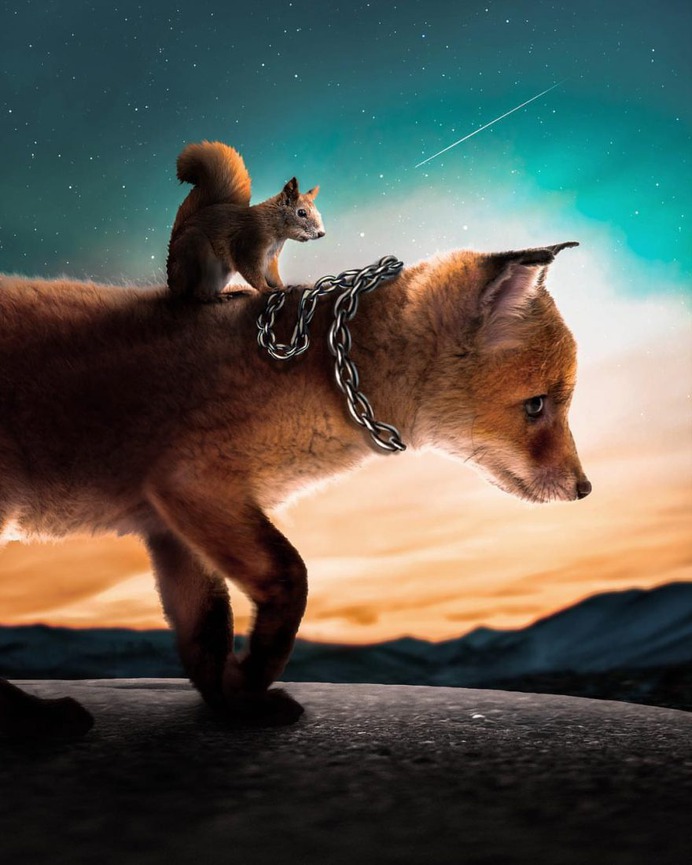 Dreamlike Photo Manipulations by Zenja Gammer