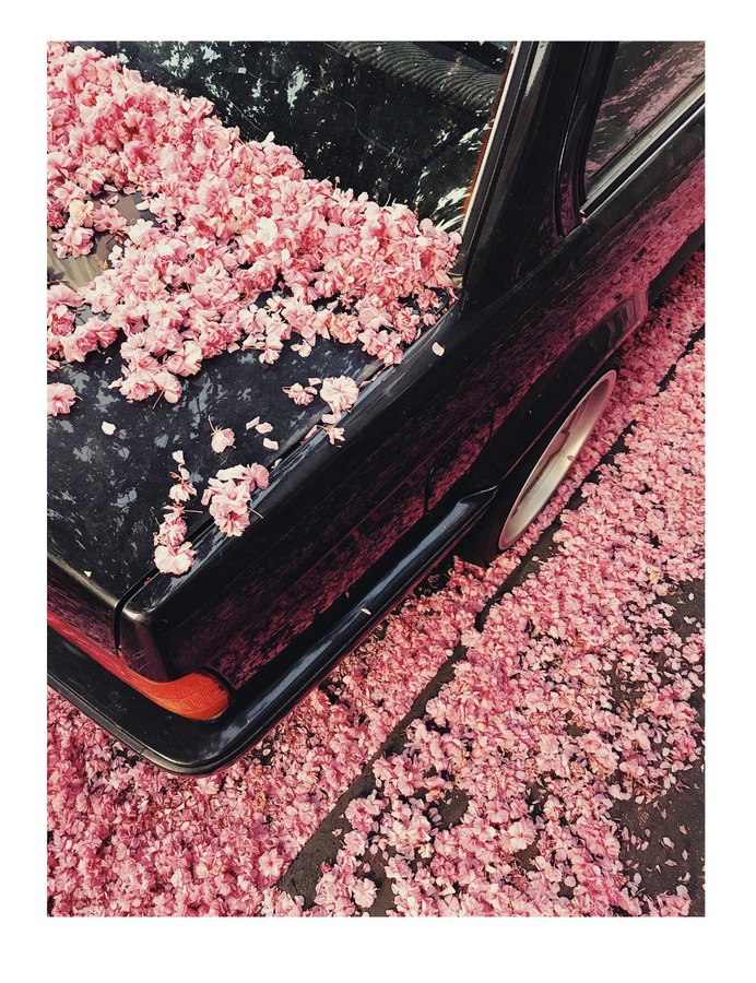 #flower #car PHOTOGRAPHIE © [ catrin mackowski ]