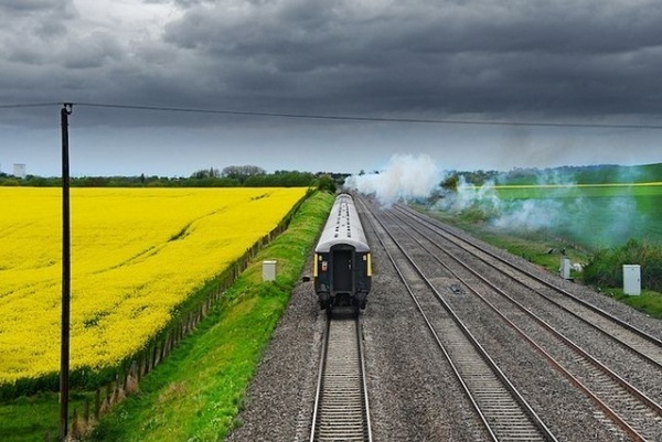 Photography by Robin and Taliesin Coombes #inspiration #photography