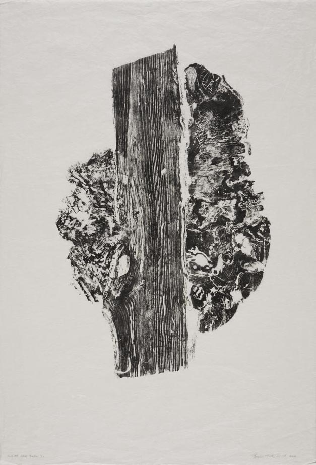 White Oak Burl