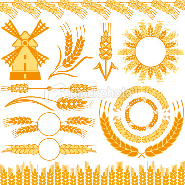 Wheat Royalty Free Stock Vector Art Illustration #wheat