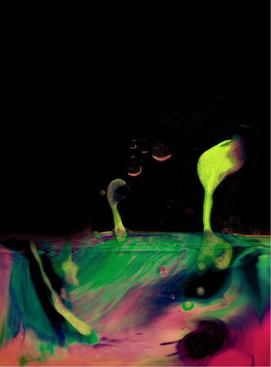 P U E R T O S | awoodstock