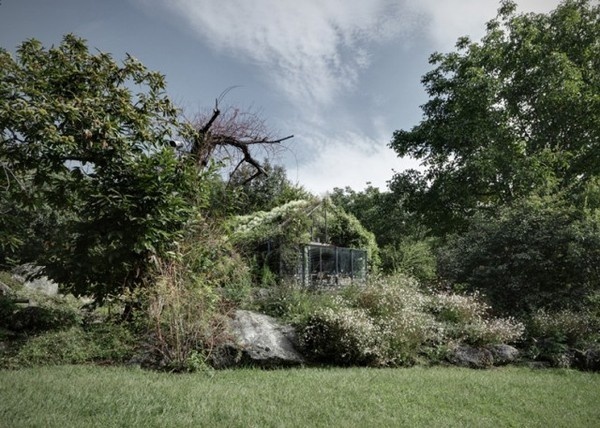 Greenbox House3 #nature #architecture #house #home