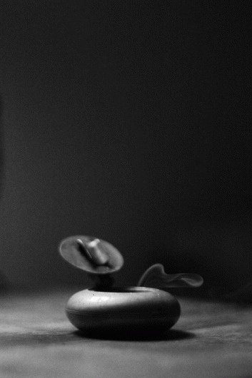 somepeopledont #white #smoke #black #photography #and